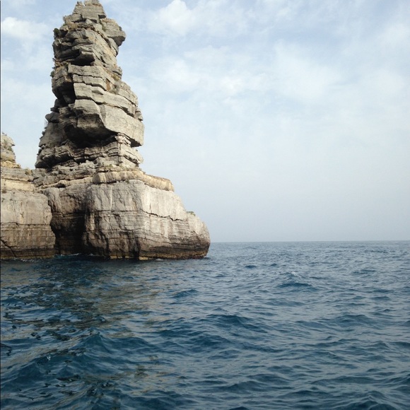 Meet your Posher, Lia - Picture 1 of 1